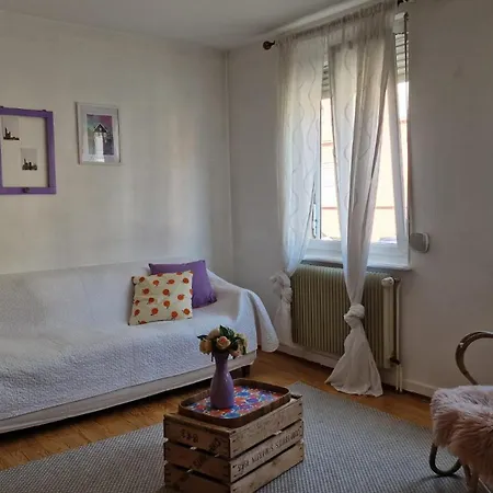 Spacieux Proche Centre-ville דירה שטרסבורג